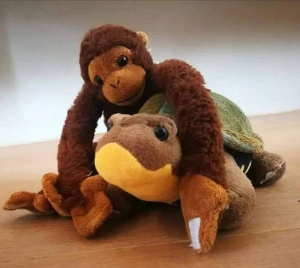 De chimpansee en de schildpad. Bregje Jonkhart 